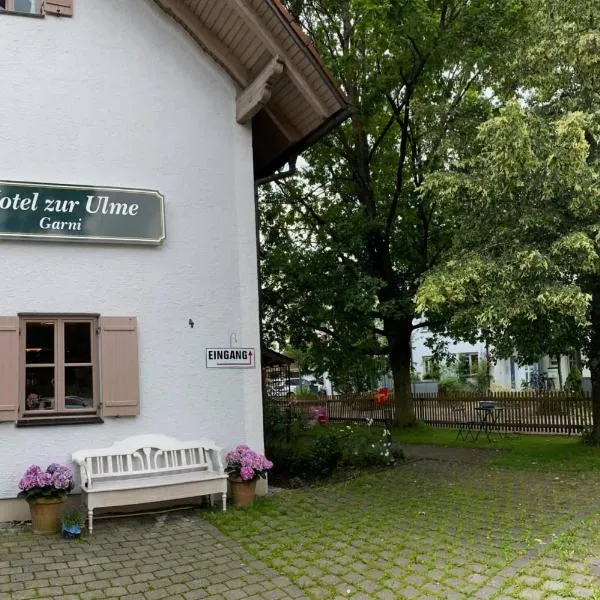Hotel zur Ulme，位于Anzing的酒店