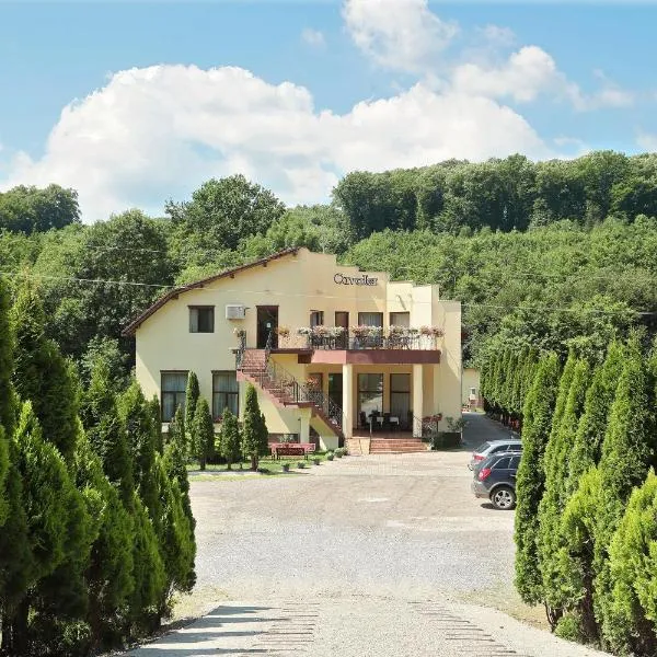 Pensiunea Cavaler，位于Duşeşti的酒店