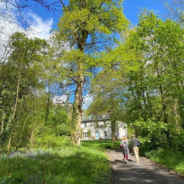 Blackhill Woods Retreat，位于Camross的酒店
