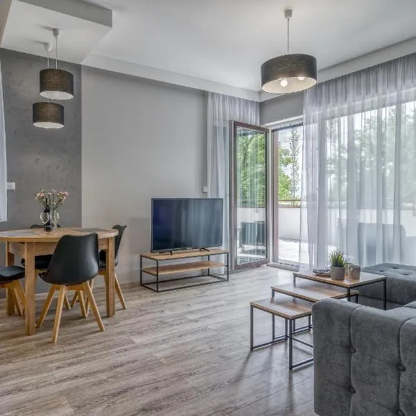 Apartament K2 Pułaskiego 1，位于Lubicz的酒店