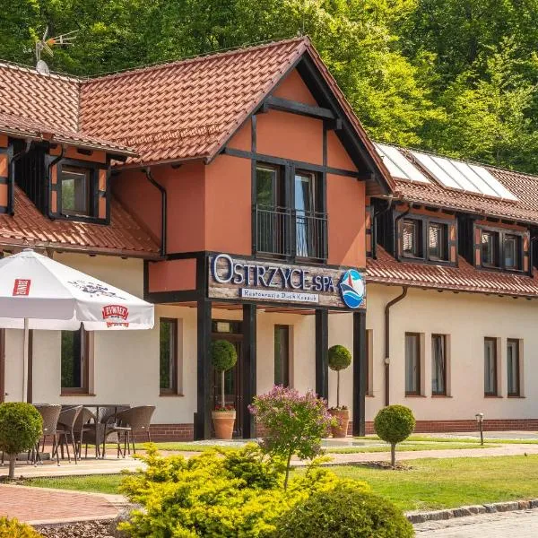 Ostrzyce Spa，位于Brodnica Dolna的酒店