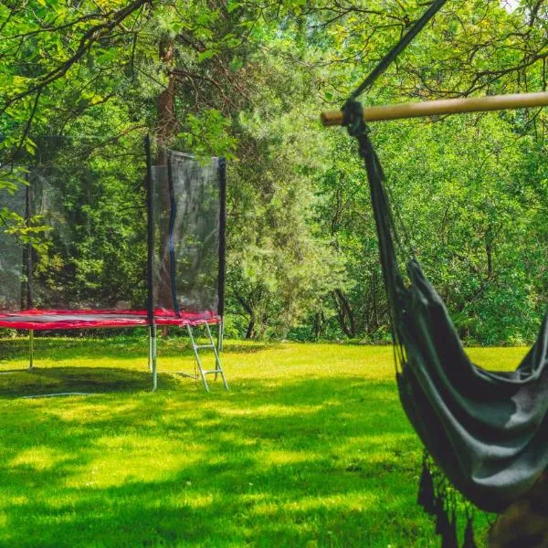 Leśniczówka pod Śnieżką，位于Bukowiec的酒店