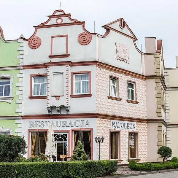 Hotel Napoleon，位于Brzeźnio的酒店