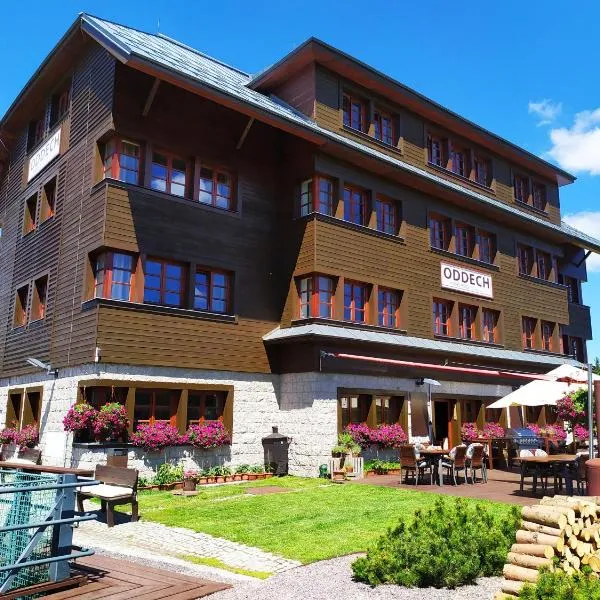 Hotel Oddech，位于Horní Lánov的酒店