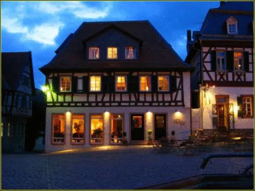 巴丁别墅酒店，位于Laudenbach的酒店