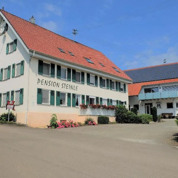 Pension Steinle，位于Erbach的酒店