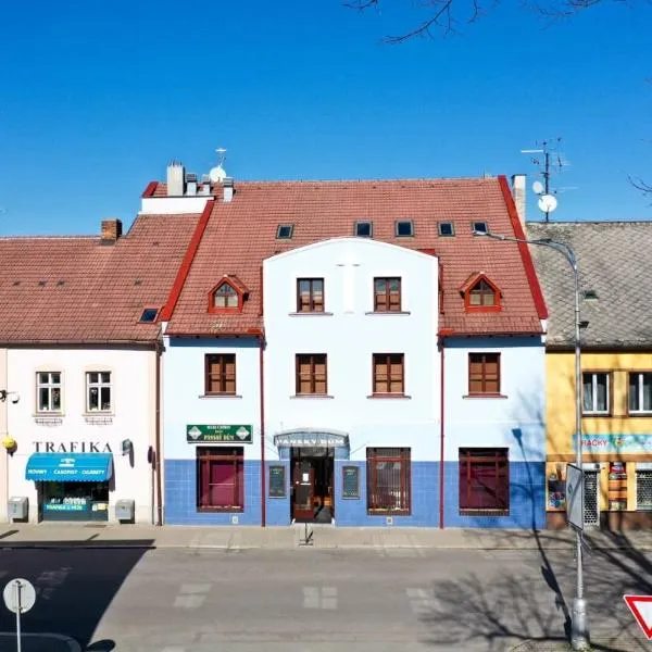 Hotel Panský dům，位于Kostelec nad Orlicí的酒店