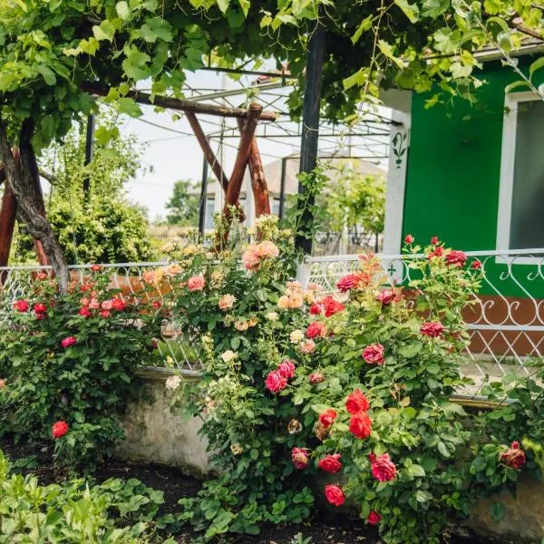 Căsuţa de lângă Lac，位于Saharna Nouă的酒店