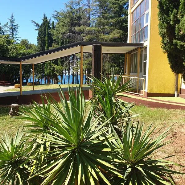 Youth Hostel Pinesta，位于诺维格勒伊斯特拉的酒店