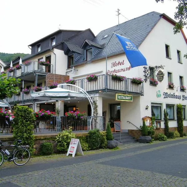 Weinhaus Berg，位于Springiersbach的酒店