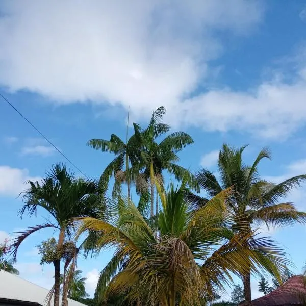 La Douce Demeure，位于Matoury的酒店