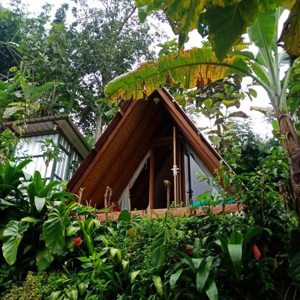 ECO Bedugul adventurer camp，位于贝都古的酒店