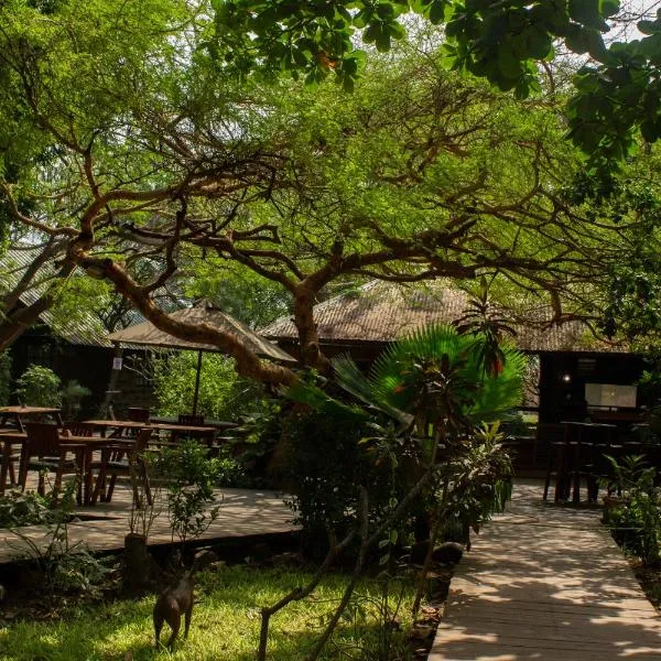 Acacia Village，位于朱巴的酒店