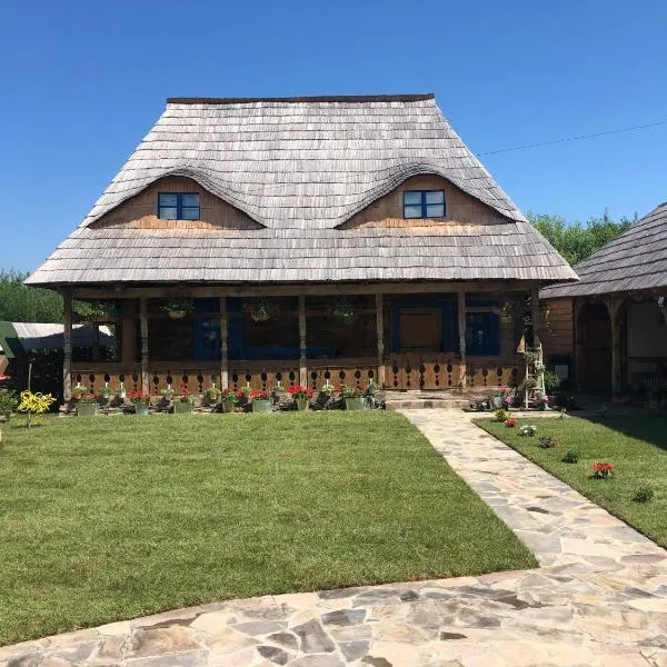 Casa Colț din Maramureș - Old Traditional House，位于舒加塔格盐矿镇的酒店