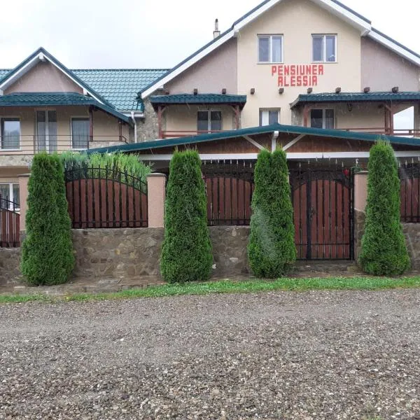 Pensiunea Alessia，位于Săvineşti的酒店