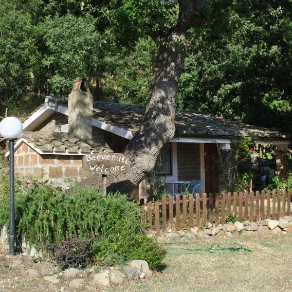 Azienda Agricola Biologica La Cardellina，位于托尔法的酒店