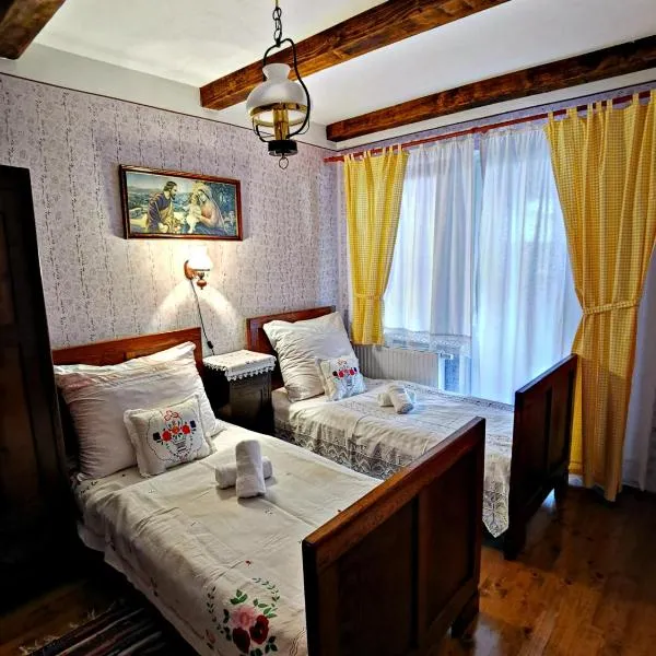 Apartment Slavonska Kuća，位于Pleternica的酒店