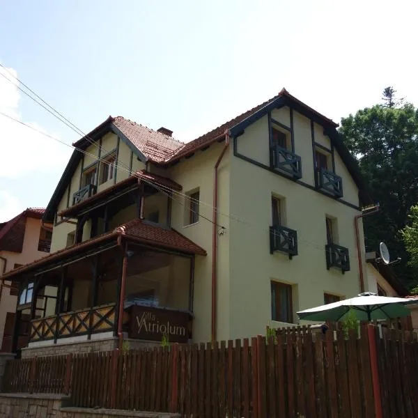Villa Atriolum，位于Brăduţ的酒店
