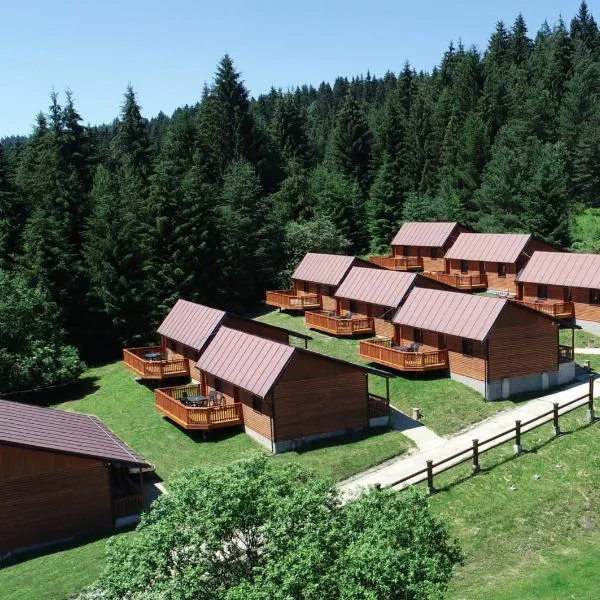 奥拉瓦公园山林小屋，位于Vyšný Kubín的酒店