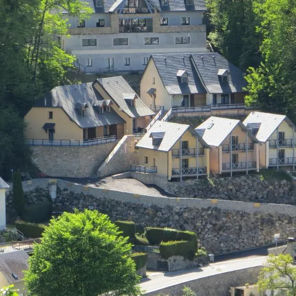 Domaine Du Sauveur，位于Viella的酒店