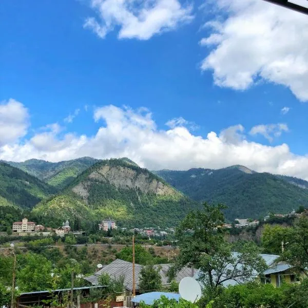 Achela's Guesthouse，位于博尔若米的酒店