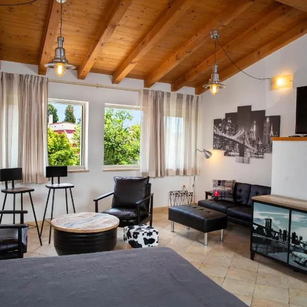Dolce Studio Apartmani，位于罗维尼的酒店