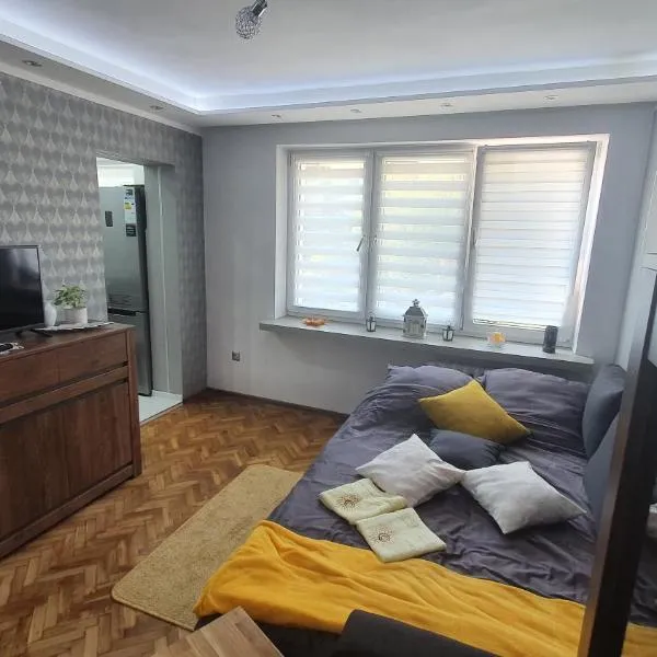 Apartament Park Saski，位于Dwikozy的酒店