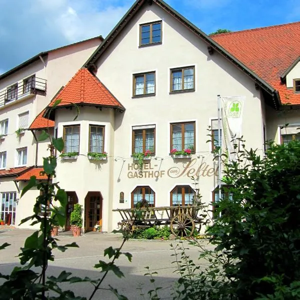 Hotel Gasthof am Selteltor，位于Deggingen的酒店