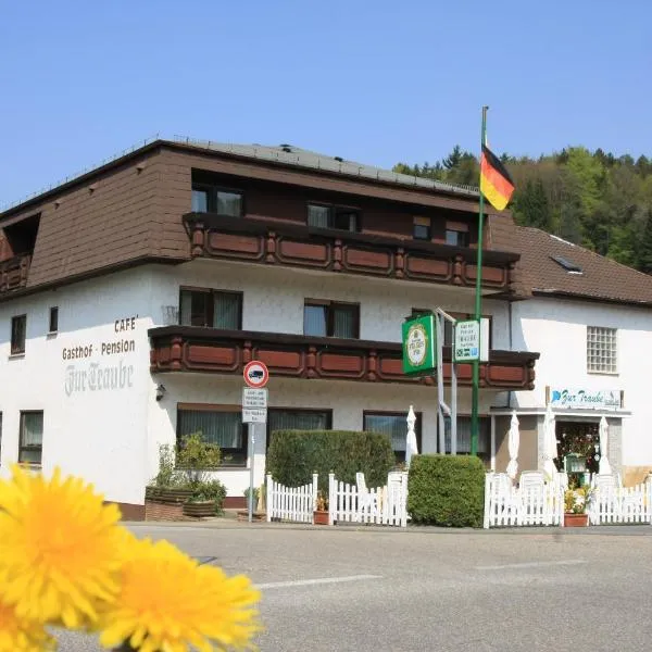 加斯特霍夫促特劳伯酒店，位于Finkenbach的酒店