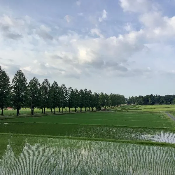 Biwako Makino Hifumikan，位于Nago的酒店