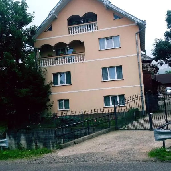 Casa Giorgiana，位于Statiunea Borsa的酒店