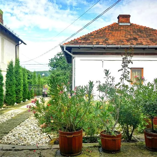 Casa Petrescu，位于Valea Uleiului的酒店