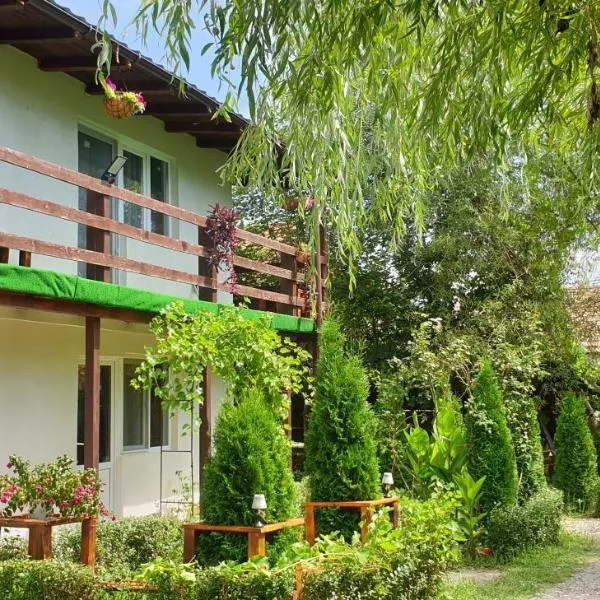 Vila Curtea de Arges，位于Albeştii Pămînteni的酒店