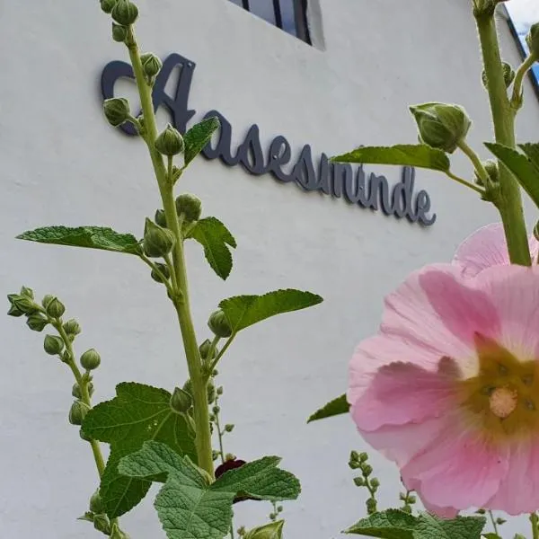 Aasesminde，位于Vester-Skerninge的酒店