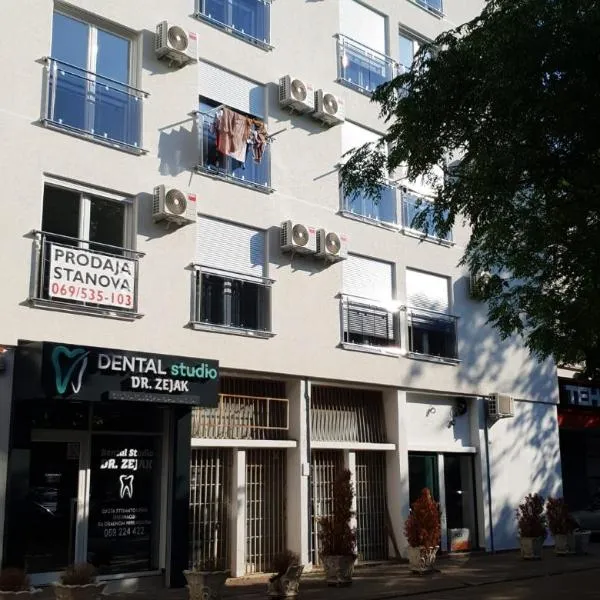 Apartman Savić，位于斯塔里酒吧的酒店