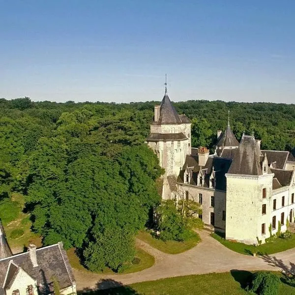 Château de Ternay，位于Glénouze的酒店