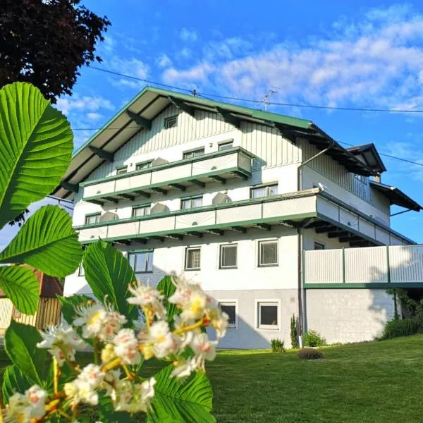 斯米纳柯博德酒店，位于Neuhofen im Innkreis的酒店