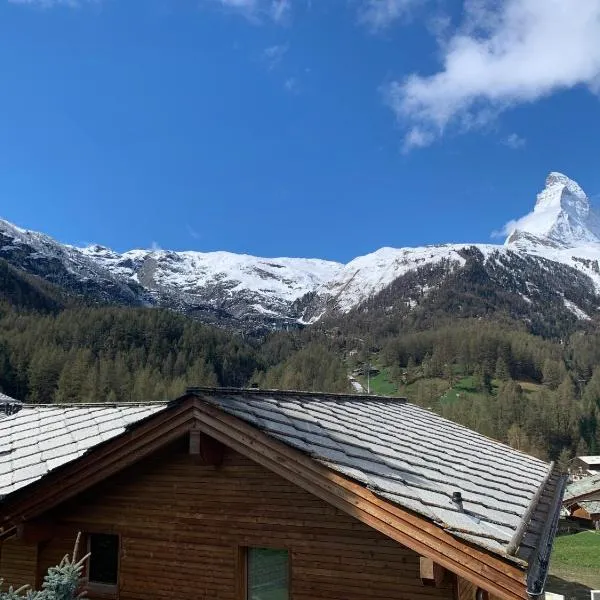 Matterhorn Panorama Apartment，位于采尔马特的酒店