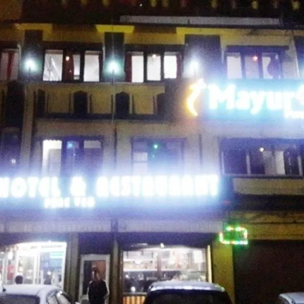 Mayur Hotel And Restaurant，位于兰斯顿的酒店