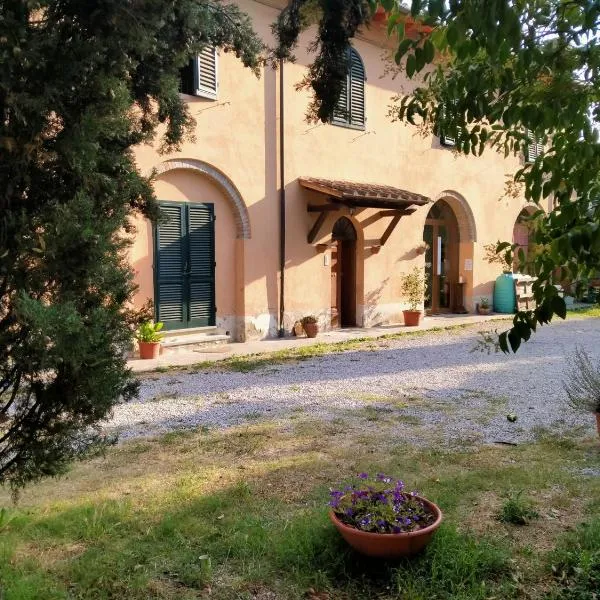 Agriturismo I due Falcetti，位于San Martino a Maiano的酒店