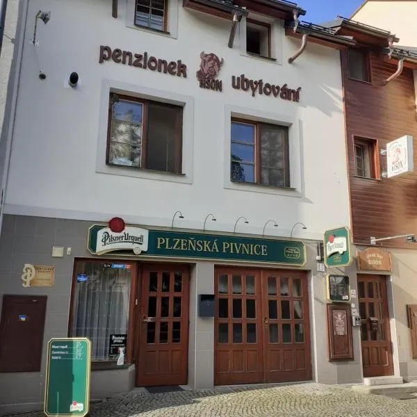 Ubytování nad Bisonem，位于Ždírec nad Doubravkou的酒店