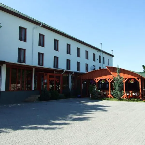 弗朗切斯卡酒店，位于Sânandrei的酒店