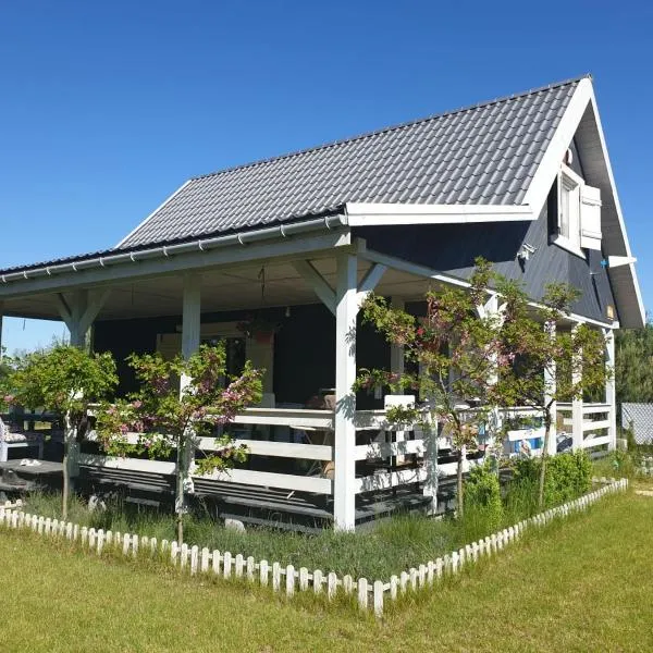 Szary Domek 1 jacuzzi komienk sauna klimatyzacja jezioro，位于Izbica Kujawska的酒店