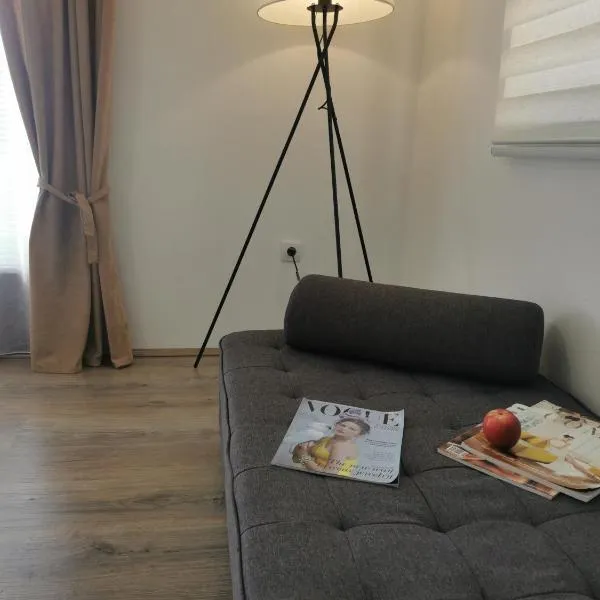 Apartman Centar，位于Aleksandrovac的酒店