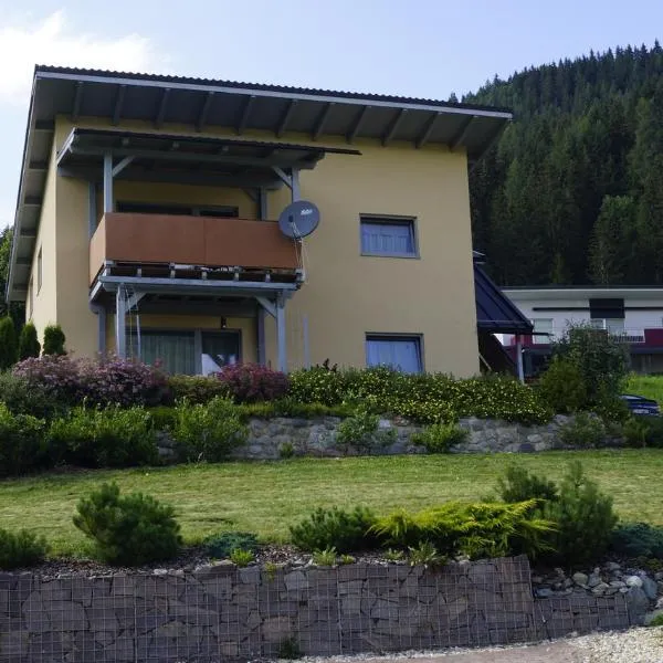 格雷贝内克公寓 ，位于Neumarkt in Steiermark的酒店
