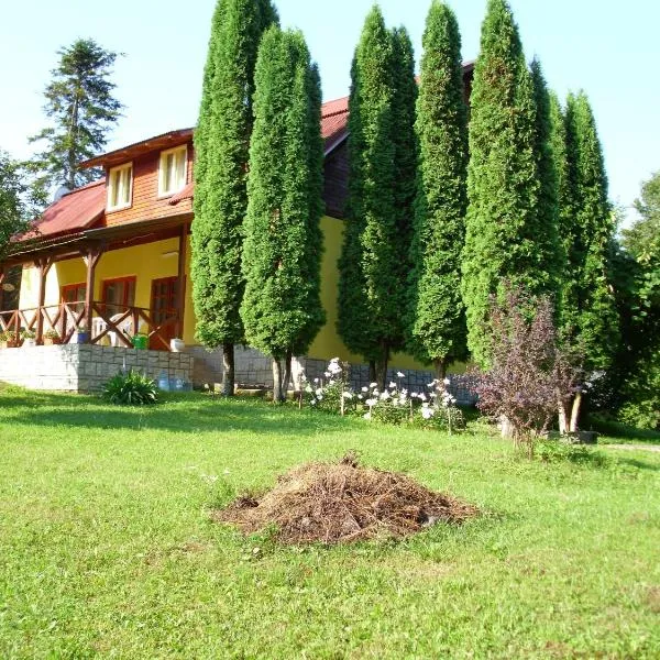 维拉罗赛塔度假屋，位于Cărpiniş的酒店