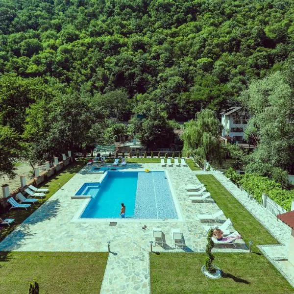 Pensiunea JOJO Imperial Resort&Spa，位于Topleţ的酒店