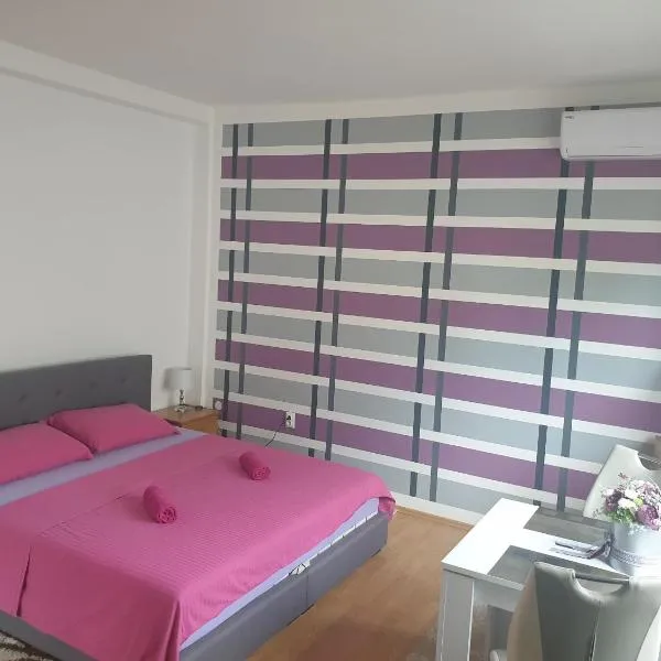Apartmani Salic，位于奥西耶克的酒店