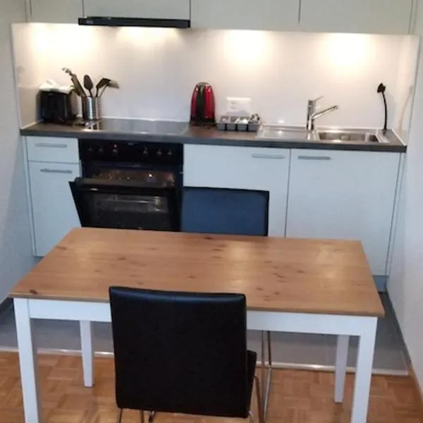 HSH Barre 6 - City Apartment next Cathedral Lausanne，位于洛桑的酒店