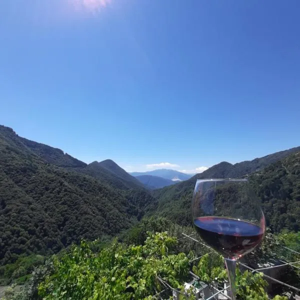 B&B La Locanda del Cinghiale，位于Aurano的酒店